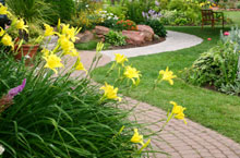 Landscape Contractors