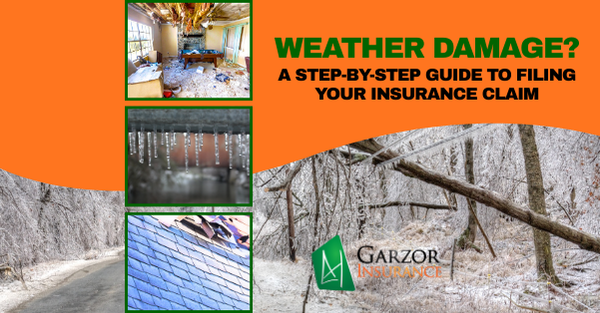 Winter Storms and Garzor